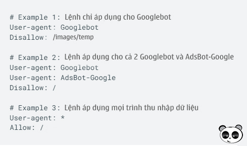 lệnh robot.txt cho website