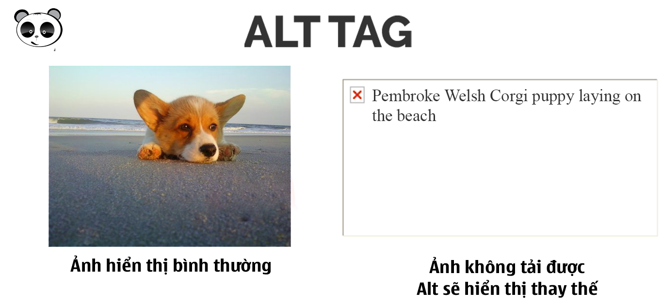 thẻ alt tag trong hình ảnh