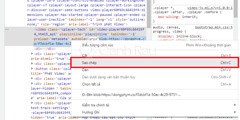Sao chép code video trong F12