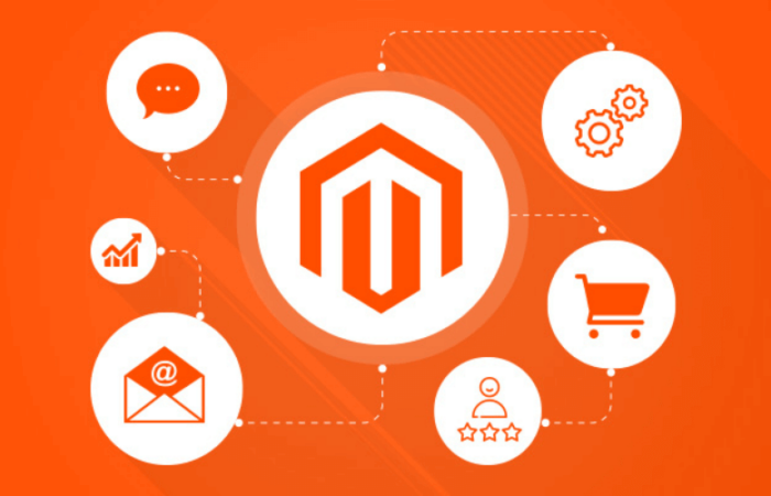 thiet ke website magento