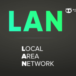 mang LAN la gi