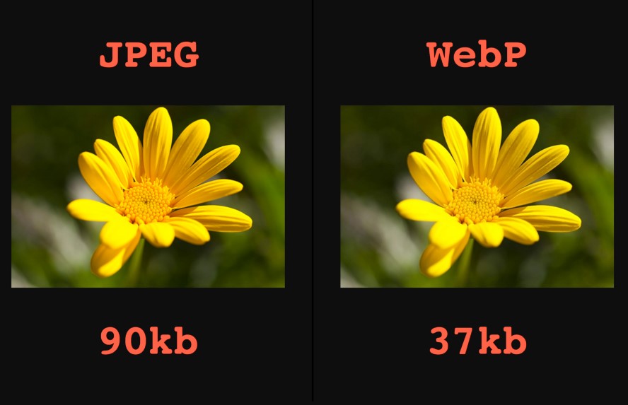 định dạng ảnh webP