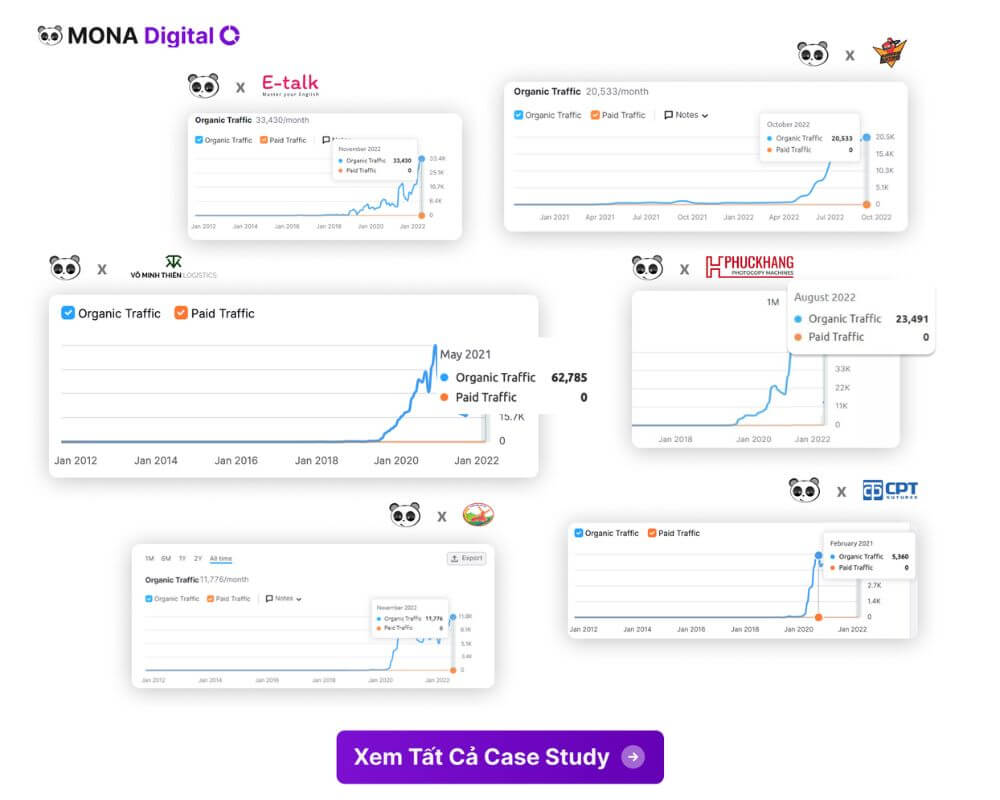 tất cả case study seo