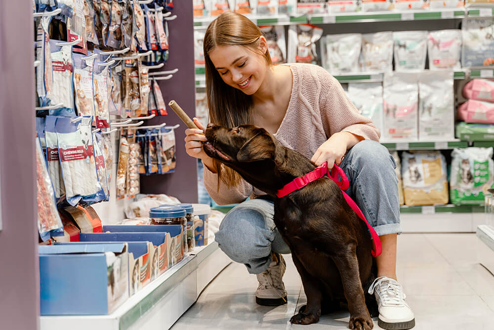 Lợi ích khi thiết kế website pet store